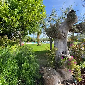 https://agricampeggio-oasi-del-garda.hotelinveneto.com
